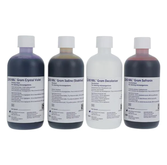 BD BBL™ Gram Stain Kit, Stabilized